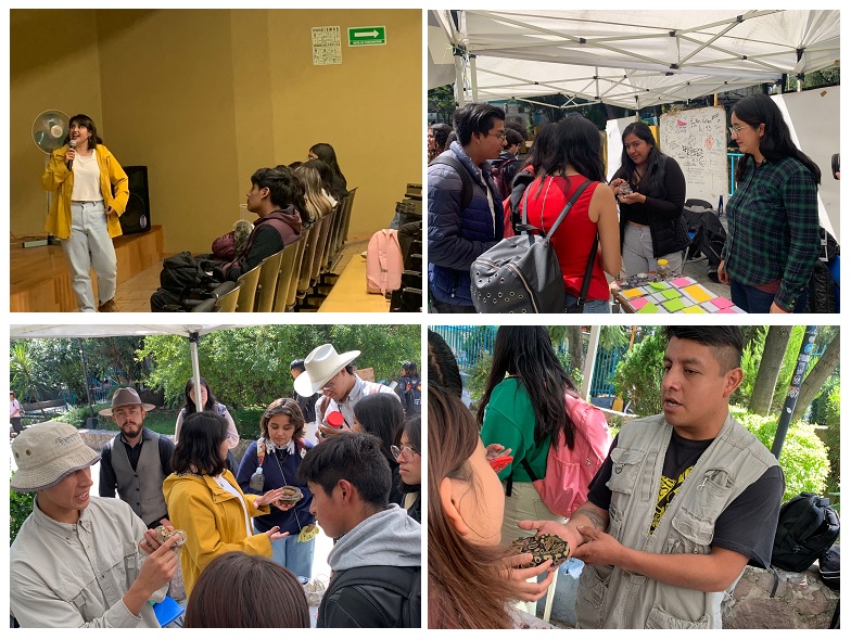 conjunto de imágenes de jóvenes observando serpientes de manos de otros jóvenes en el parque nacional los remediosacional los remedios