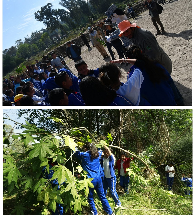 grupo de jóvenes realizando tareas de reforestación en el parque nacional los remedios