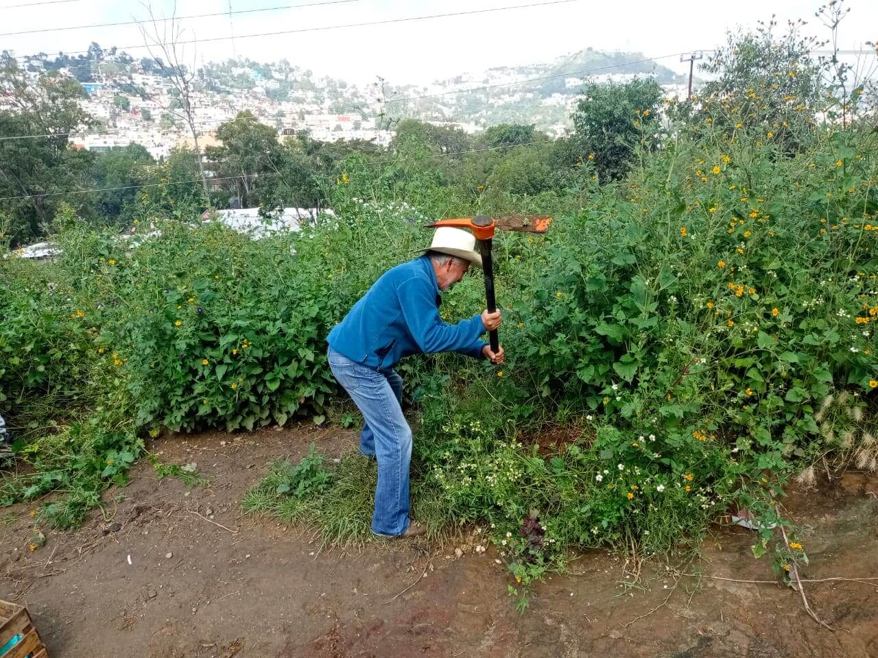 ejidtarios de los remedios, defensores del parque y voluntarios realizando trabajos de hidratacion forestal en el parque nacional los remedios reforestación en el parque nacional los remedios