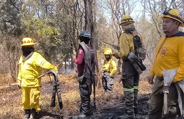 brigada contra incedios del parque nacional Los Remedios