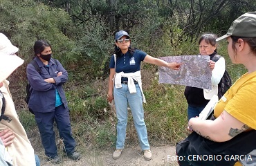 Arranca el Proyecto del PROREST-CONANP en el Parque Nacional Los Remedios